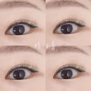 라니샵