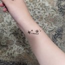 스튜디오미니테일 이미지