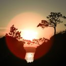 진도우리화원 이미지