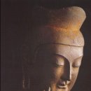 자연의 미학 이미지