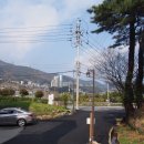 셈프레펜션 이미지