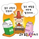 [약과 식품 사이의 좋은 궁합 나쁜 궁합] 그리고 주의할 점 이미지