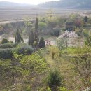 하늘빛으로 물든새 이미지