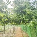 선암스테이 | 신축 독채 전북 풀빌라 선암스테이에 가족여행 뜻깊은 시간 보내고 왔어요.