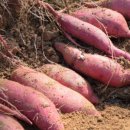 혜림슈퍼 이미지