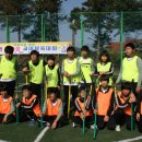 호롱골 Daum카페