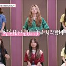 미디어 펀치