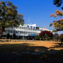 곡성-115 이미지