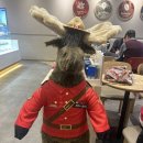 씨유종로K트윈타워점 | 캐나다 국민카페 팀홀튼 솔직후기 광화문K-Twin타워점