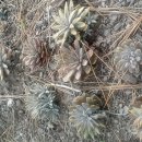 은호2리 이미지