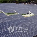 세기 태양광발전소 이미지