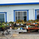 고대도2 이미지