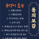 보은건강원 - 해남군 산이로 1744 | 보은건강원