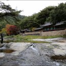 석천농로 네이버블로그