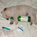 안녕하세요 이미지