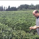 다원화학 이미지