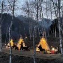 나는숲이다 이미지