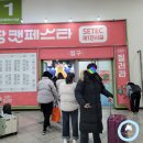 2022 서울 궁디팡팡 캣페스타