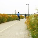 화양면 와초리 금강변 이미지