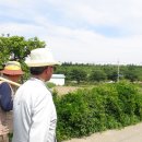 주상전하 이미지