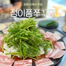 쌍용자동차 광명서비스프라자 | 광명 이케아 맛집｜정이품쭈꾸미 광명1호점 후기
