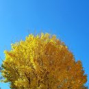 토속마을 이미지