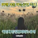 [서부] 캘리그라피(2025) | 10월 서울 축제 기간 하늘공원 억새축제 가는법 맹꽁이 버스 요금