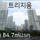 트리지움치과의원 이미지