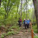 우면산5-9 이미지