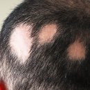 머리나라 이미지