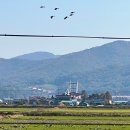 서해랑길 102 인천 강화군: 창후항 ~ 외포항