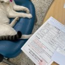 수풍로37번길 이미지