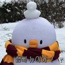 돈나라 이미지