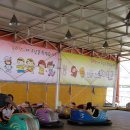 안다랜드 이미지