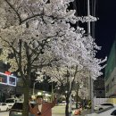 혜주의요릿집혜루