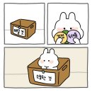 2748 이미지