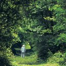 대티골계곡 이미지