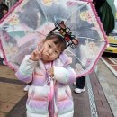 아이비키즈어린이집 이미지