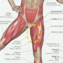 두잇핏PT 이미지