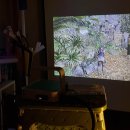 지존게임플렉스 이미지