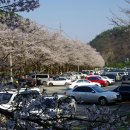 마이산주유소 이미지