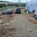 종대농장 이미지