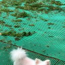 큐티살롱 이미지