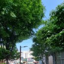 5.6호(1) 이미지