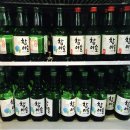 조개매니아 이미지