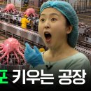 이게 AI 대안이라고? 전기 흡입하는 생물학적 데이터센터, 그 한계를 뚫을 2400만 뇌세포 이미지