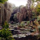 모네의 정원 이미지