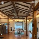 스테이노은 이미지