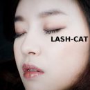 스마트캣 이미지