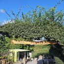 포동이농장 이미지